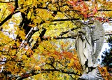 by Randy McCullough