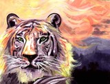 by Amanda Robison