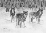 by Agata Maria