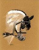 by Jennifer Redstreake