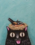 by Lucia Stewart