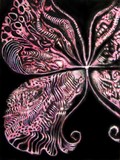 by Shawn McDonald