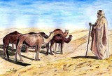 by seghaier lotfi