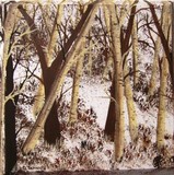 by diane  jennings