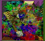 by Barry Huyett