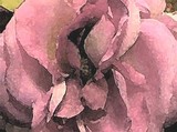 by Brenda Higgins