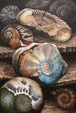 by Jo Sheppard
