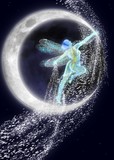 by Hinsel Scott
