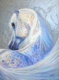 by Gill Bustamante