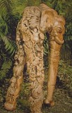 by Shawn Garrison