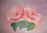 by caroline stevens