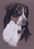 by Barbara Keith
