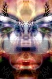 by TOMMY  BEAVER