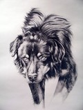 by Heather Farmstead
