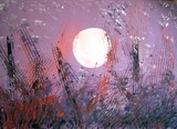 by Apollyona Alba