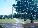 by Barbara Reid