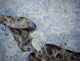by Christine B. Ghattas