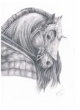 by Kim  Lawrie