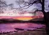 by robert minchin