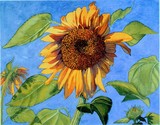 by Karen Higgins