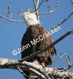 by John McCracken