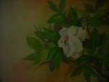 by sangita chaudhuri