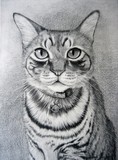 by myra naito