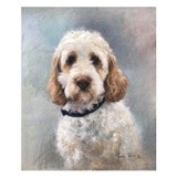 by Lynne Davies