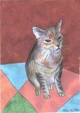 by Velia Alfonso