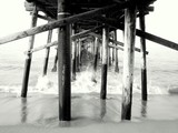 by paul myers