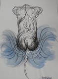 by Anna  Girgis