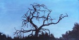 by Kathy Schoeppner
