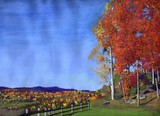 by judie cole