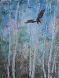 by Patricia Elgee