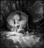 by Tomas Havelka
