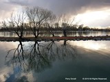by Perry  Dovell