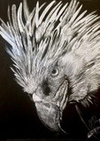 by Justin Dancing Hawk