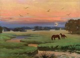 by Rupasov Konstantin