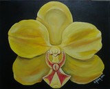 by Francisco Gadea Aviles
