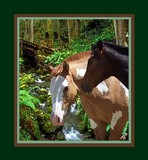 by Graphic Designs By Suz