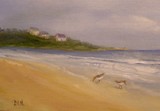 by Debi Hinshaw