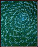 by Penny Kaiman-Rayner