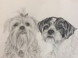 by Stacey Makar