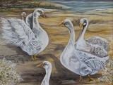 by Anne Buffington