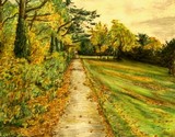 by Snook Berry