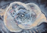 by Claudia Luethi alias Abdelghafar