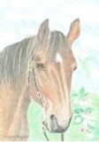 by Claudia Luethi alias Abdelghafar