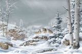 by Peter  Stallard