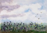 by Maria A. Bales