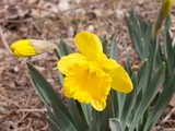 by Jim & Darlene Stewart